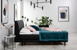 Lit Boxspring 160x200 Cm Velours Gris Clair Sommier Et Matelas Inclus Mastera -Disney Cars Soldes lit boxspring 160x200 cm velours gris clair sommier et matelas inclus mastera 3666722018593 1310231