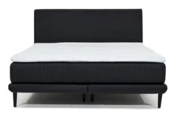 Lit Boxspring 180x200 Cm Velours Gris Clair Sommier Et Matelas Inclus Mastera -Disney Cars Soldes lit boxspring 180x200 cm velours gris clair sommier et matelas inclus mastera 3666722018456 1311280